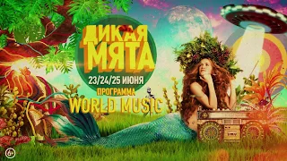 Дикая Мята 2017 - блок "World music"