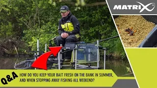 Jamie Harrison Q & A - Bait Storage