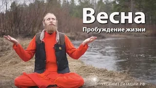 Пробуждение жизни - Весна