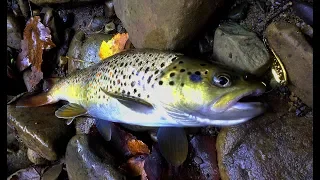 Ловля радужной форели и речной в горной речке часть 2 | Trout Fishing