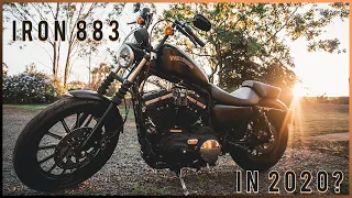 Buying a Harley Davidson Iron 883 in 2020?