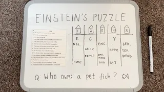 [ASMR] Einstein's Logic Puzzle