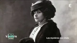 Colette et son amour des chats - Visites privées