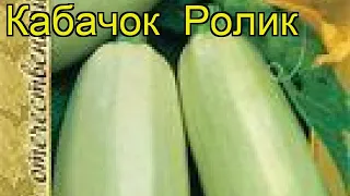 Кабачок Ролик (Кабачок Rolik). Краткий обзор, описание характеристик, где купить семена Rolik