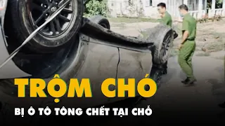 Hai người nghi trộm chó bị ô tô tông văng vào hàng rào, chết tại chỗ