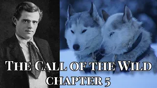 The Call of the Wild by Jack London - Chapter 5 Audiobook (1903)