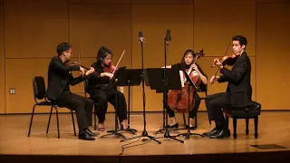 Beethoven String Quartet in B-flat major, Op.18 No.6 - II. Adagio ma non troppo