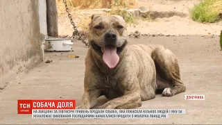 На аукціоні за 500 гривень продали собаку, яка покусала кількох людей