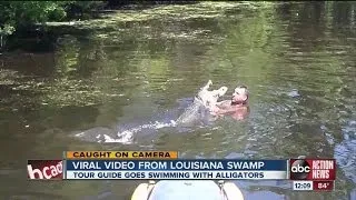 VIDEO: Louisiana swamp tour guide feeds gators chicken, marshmallows