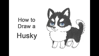 How to Draw a Dog (Cartoon Husky)