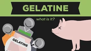 What is Gelatine? (Gelatin / Jello)