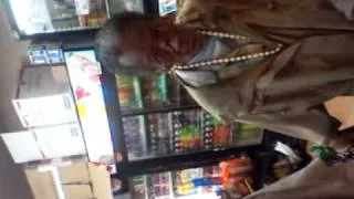 OLD LADY GOING HAM ( in a downtown store)