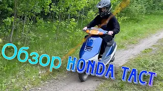 Обзор  скутера Honda Tact at24