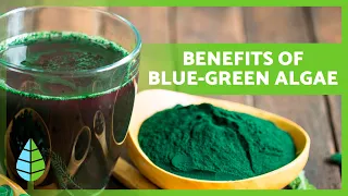 Should You Take Spirulina? ✅ Properties, Dosage Guide & Side Effects Explained