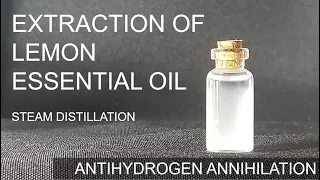 Extraction of Lemon Essential Oil | Steam Distillation