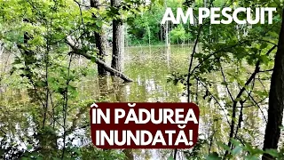 Am PESCUIT LA PLUTA pe UN LAC SUPERB in MIJLOCUL PADURII