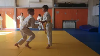 Judo tehnike bacanja