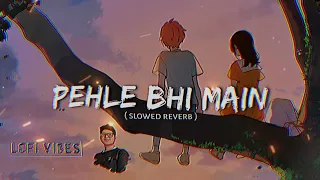 Animal Mashup [Slowed + Reverb] l Vishal Mishra l Satranga x Pehle Bhi Main ll ARE YOU CRAZYll