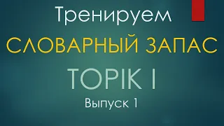 Тренажер по словарю TOPIK I. Выпуск 1/20. Карточки