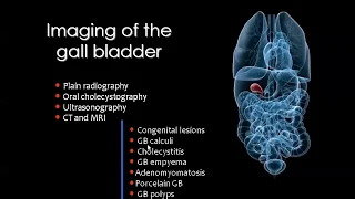 10 Biliary System Imaging -  Prof.Mamdouh mahfouz (2019 edition)