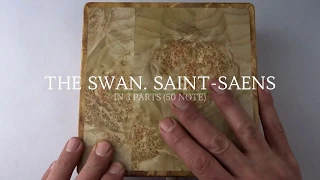 Music Box with 'The Swan' by Saint-Saens. 50 note