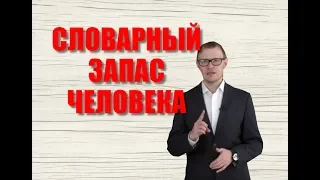 Средний словарный запас современного человека и великого писателя. Как развить речь.