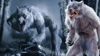 The STORY of William Corvinus (The first WEREWOLF of the UNDERWORLD franchise)