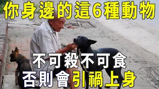 你身邊的這6種動物很有靈性，千萬不能殺不能吃，否則會引禍上身！【曉書說】