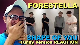 포레스텔라 Forestella - Shape Of You - FUNNY Version REACTION