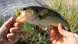 Beautiful British Columbia | Bass fishing