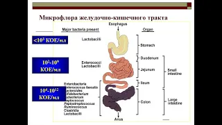 LR  диабет, аллергия, инсульт, депрессия - что даёт приём Пробиотика.