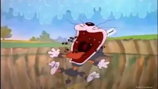 Tom and Jerry - Tom Scream Compilation