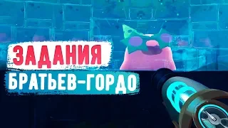 Slime Rancher. ЗАДАНИЯ ОТ БРАТЬЕВ-ГОРДО!