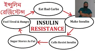 Insulin Resistance