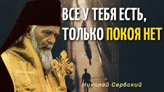 О душевном покое - Святитель Николай Сербский