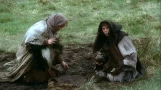 Monty Python Constitutional Peasant