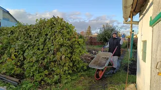 Переезд в Россию/Всех обманули,пришло время признаться/Азарт дело такое/Ошибка на всю жизнь