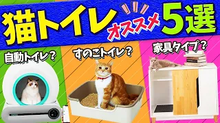 【今話題の"自動猫トイレ"ってどうなの？】プロが教える猫トイレ選びのコツ！