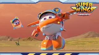 A Very Special Concert | Super wings season 5 | Super wings super pets | EP14