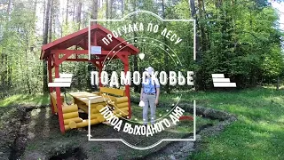 Клуб путешественников Странник. Поход выходного дня в Подмосковье - маршрут №5: 41-й километр