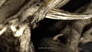 Demon Hunter "Leave Me Alone" (Listening Video)