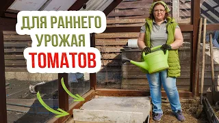 Теплая грядка в теплице для томатов. Как сделать теплую грядку для ранних помидоров в теплице?