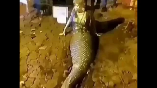 Real life mermaid