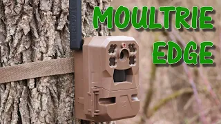 From Zero to Hero? Moultrie Edge Cellular Trail Camera Update: Field Test and Review