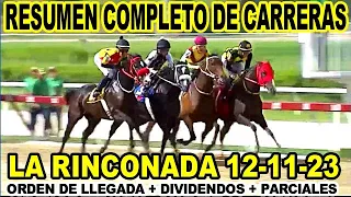 EL RESUMEN MAS COMPLETO DE CARRERAS HÍPICAS 12-11-23 / LA RINCONADA.