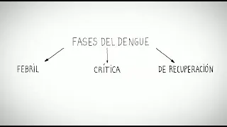 Las fases del Dengue