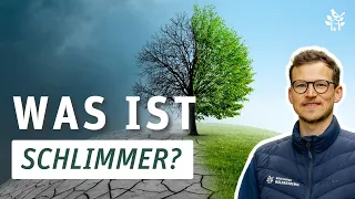 Was ist schädlicher: Forstwirtschaft oder Klimawandel?