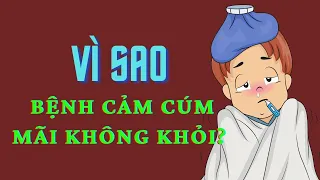 Vì sao bệnh cảm cúm dai dẳng mãi không khỏi? Top 8 nguyên nhân khiến bệnh cảm cúm lâu khỏi.