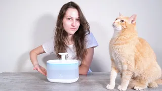 Petlibro Capsule Cat Water Fountain Review (We Tried It for 1 Month)