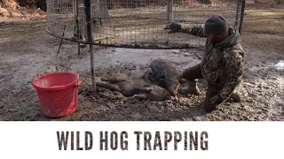 WILD HOG TRAPPING 🐗🐗🐗 And The Struggles In Life🤔